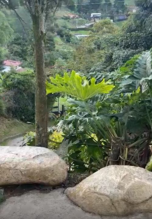 Arriendo Belen Vereda jardin
