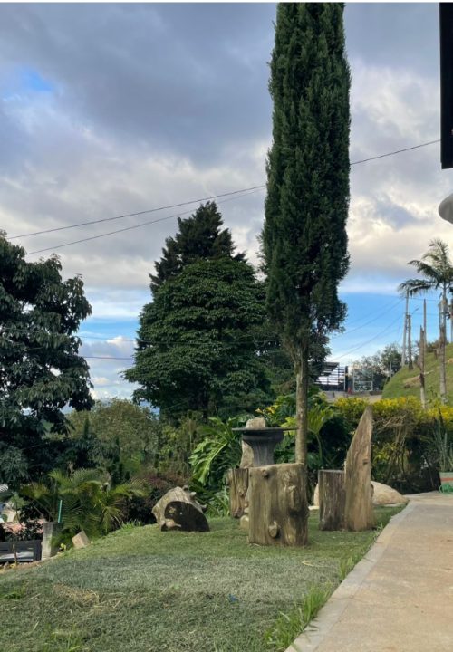 Arriendo Belen Vereda jardin