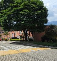 Venta Apartamento Santa Mònica 2