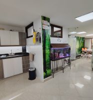 Venta Casa – Santa Mònica