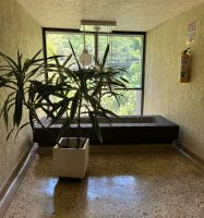 Venta Apartamento – Poblado ( Sector San Carbón)