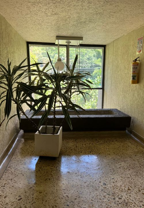 Venta Apartamento – Poblado ( Sector San Carbón)