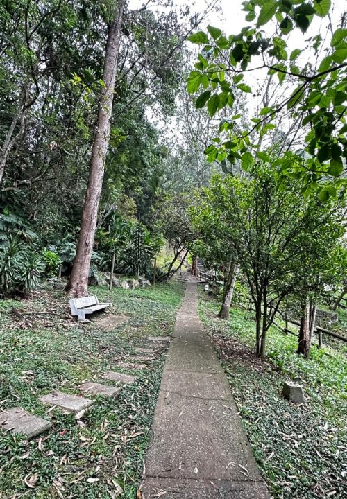 Venta Apartamento – Loma del Indio